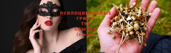 мдпв Арсеньев