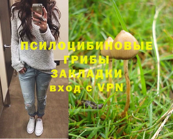 эйфоретик Армянск