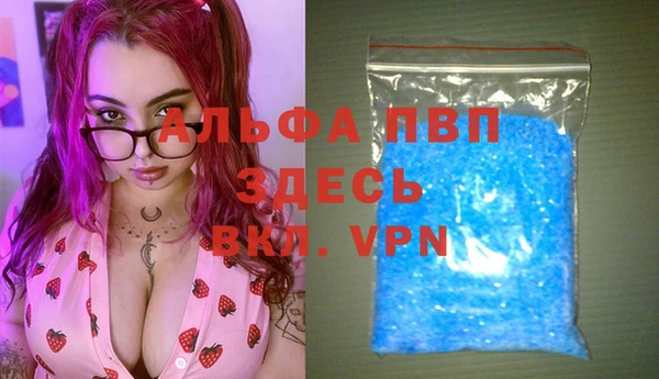 гидра Аркадак
