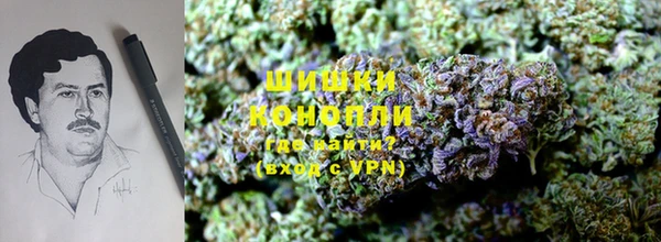 гидра Аркадак